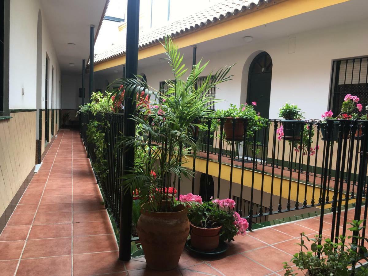 Cosy With Terrace In The Centre Of Appartement Séville