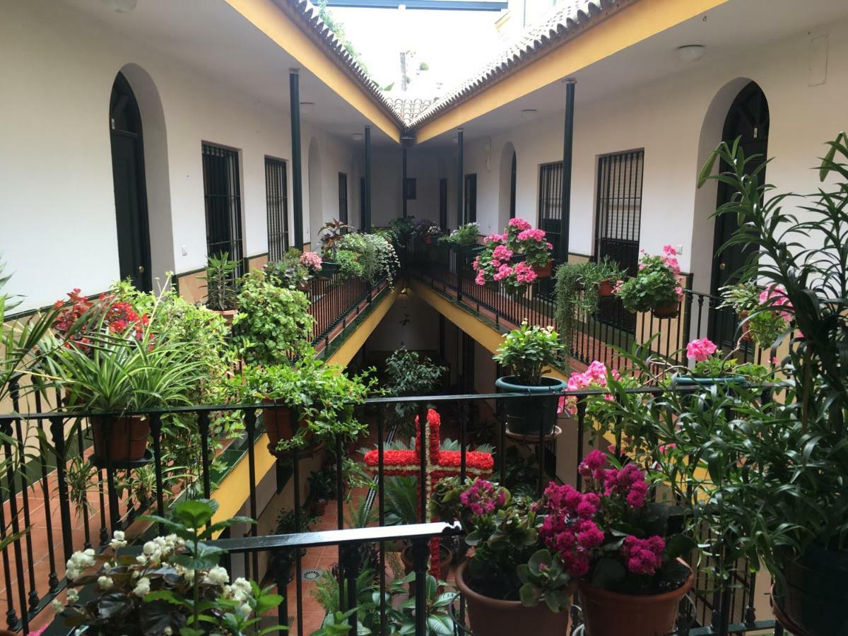 Cosy With Terrace In The Centre Of Appartement Séville