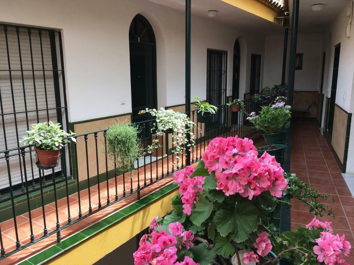 Cosy With Terrace In The Centre Of Appartement