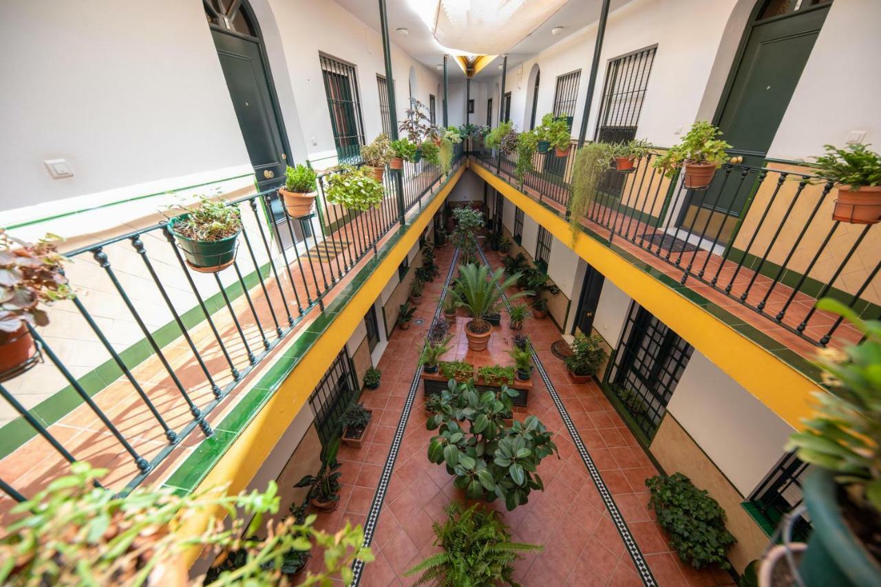 Appartement Cosy With Terrace In The Centre Of