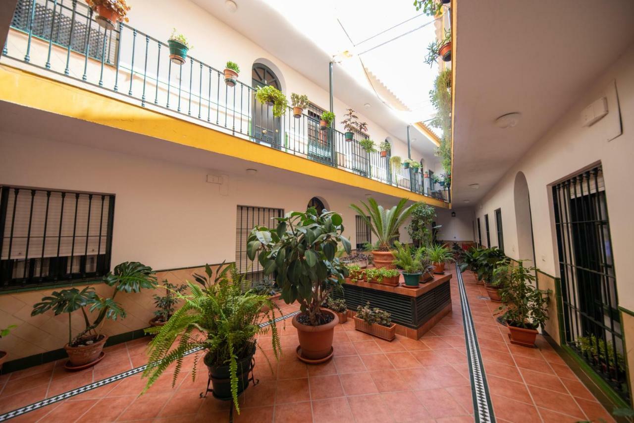 Cosy With Terrace In The Centre Of Appartement