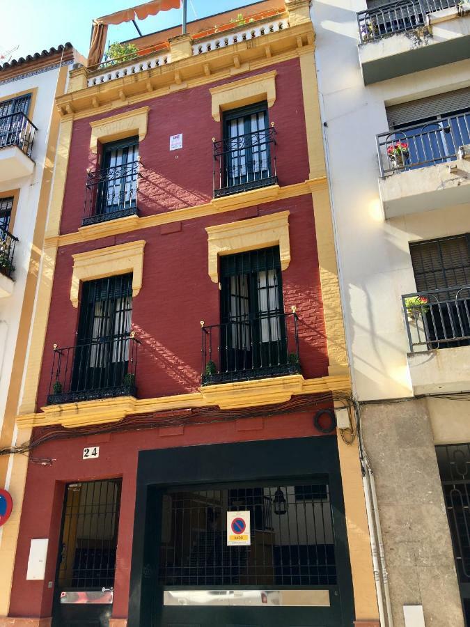 Cosy With Terrace In The Centre Of Sevilla